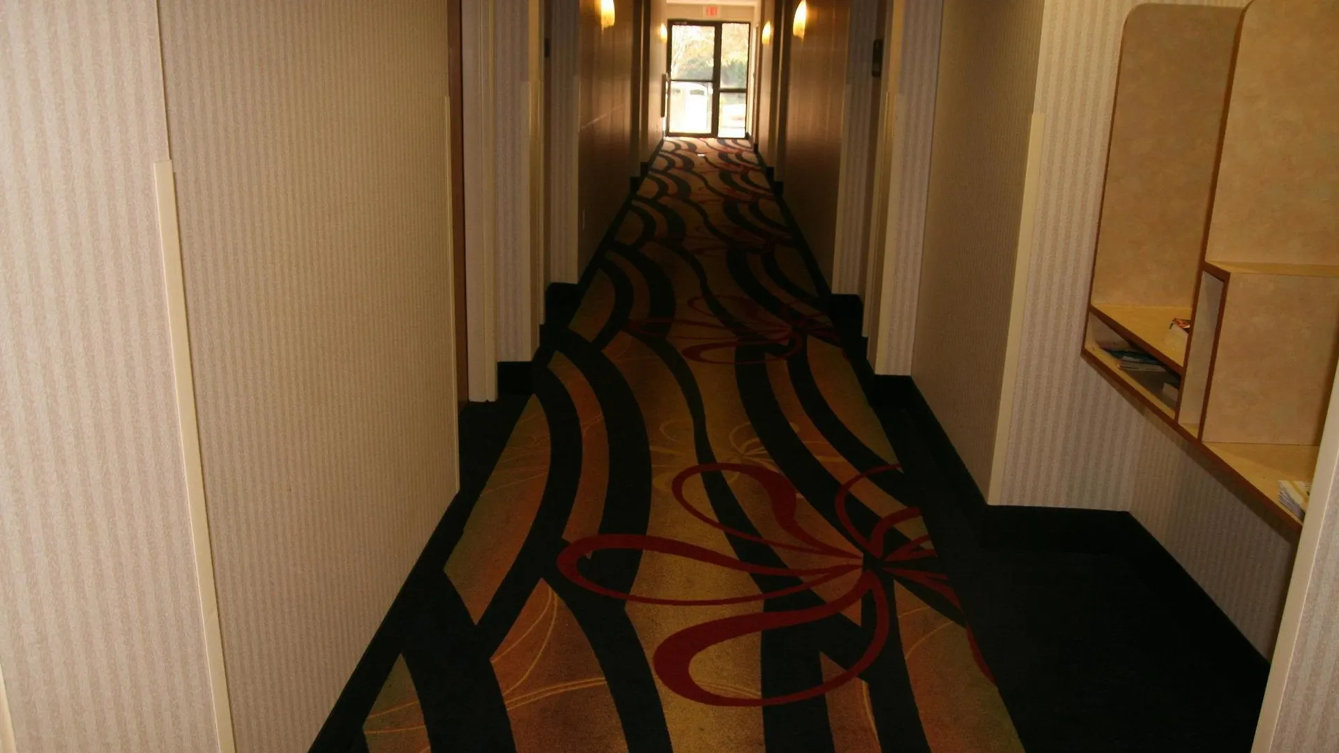 Holiday Inn Express Hotel & Suites Tampa-Anderson Road-Veterans Exp By Ihg West Chase