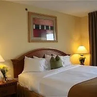 Holiday Inn Express Hotel & Suites Tampa-Anderson Road-Veterans Exp By Ihg West Chase